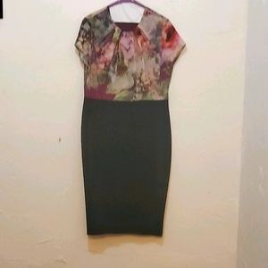 Ted Baker size 5 sheath dress